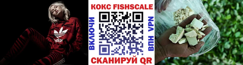  COCAIN Кингисепп