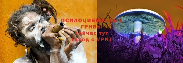бошки Арсеньев