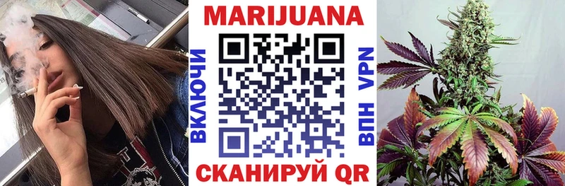 Конопля планчик omg ТОР Кингисепп